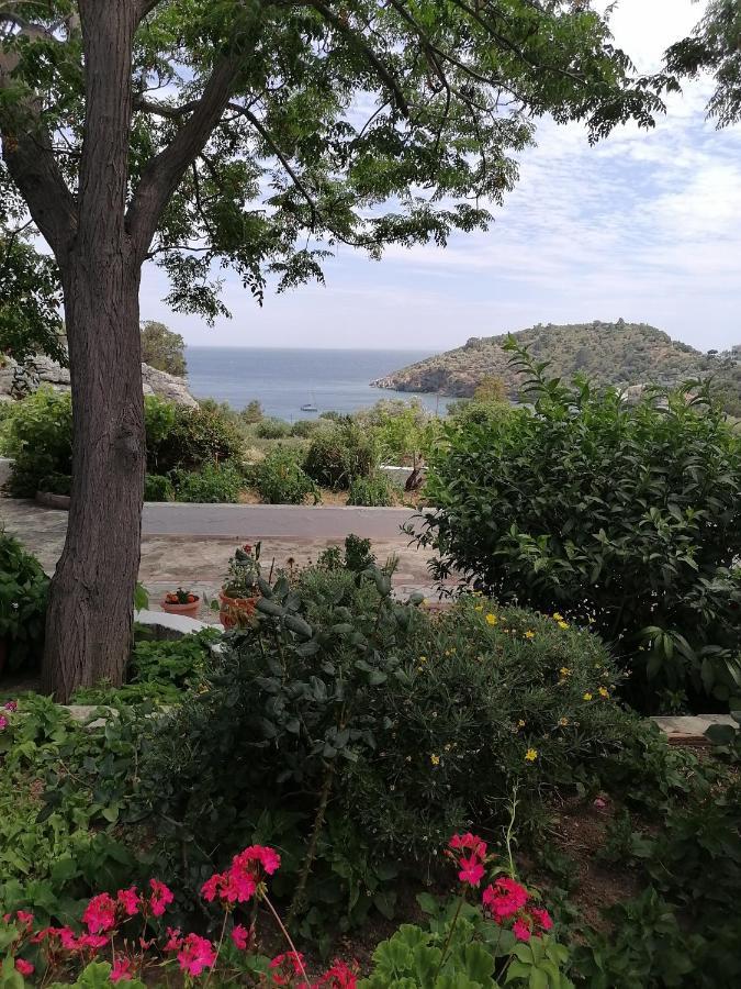 Studios Ioanna Limnionas Samos Marathókampos Exterior foto