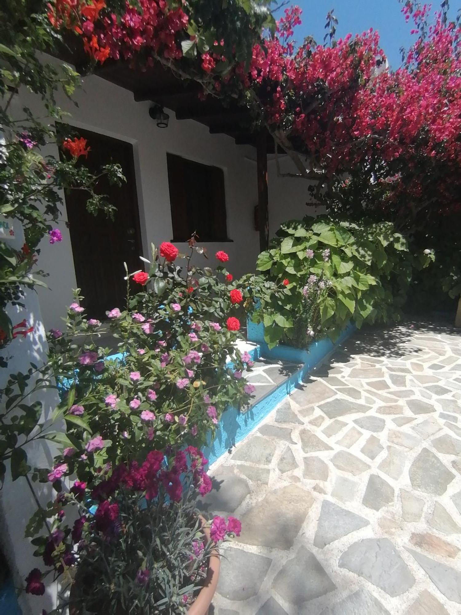 Studios Ioanna Limnionas Samos Marathókampos Exterior foto