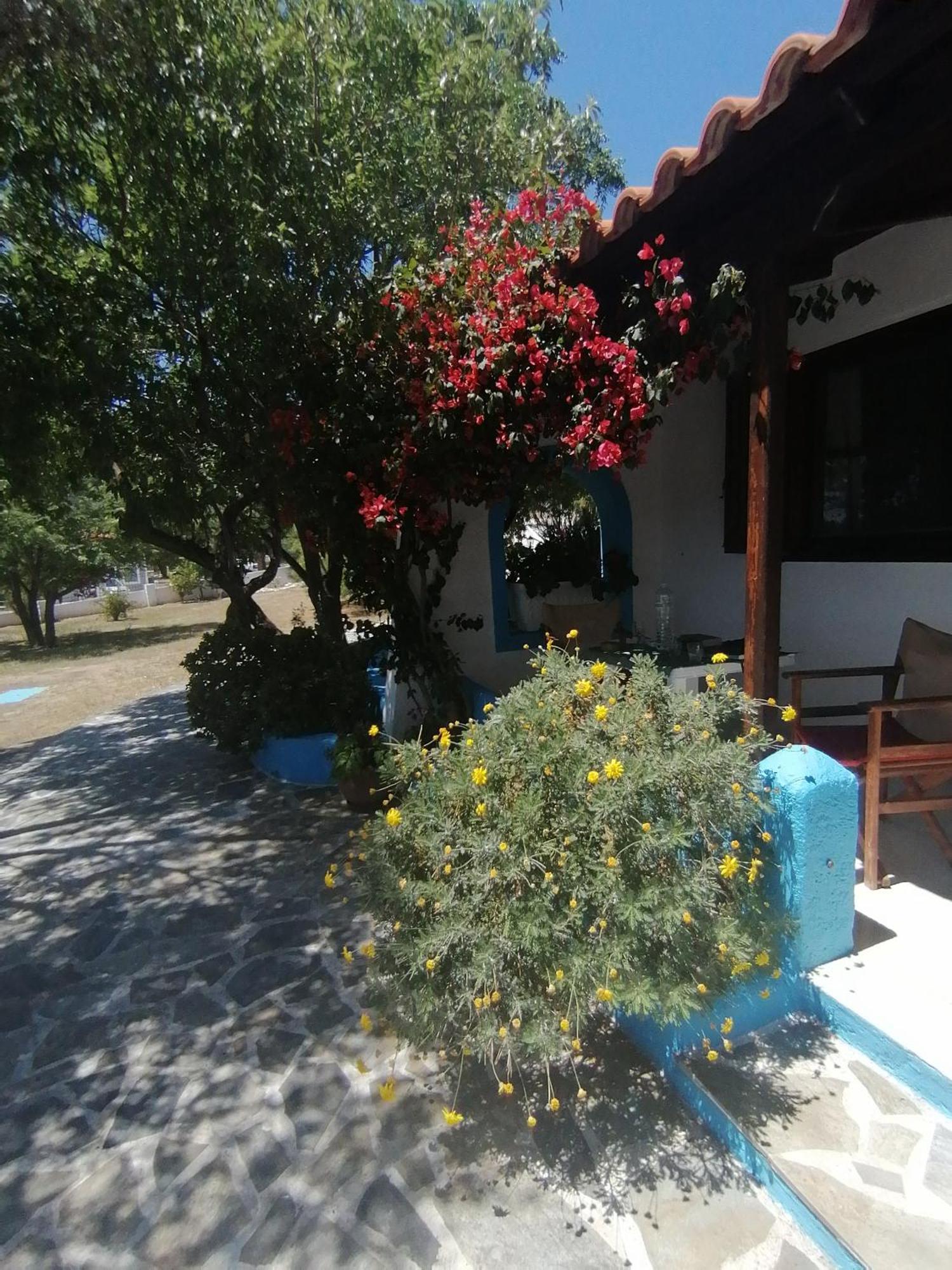 Studios Ioanna Limnionas Samos Marathókampos Exterior foto