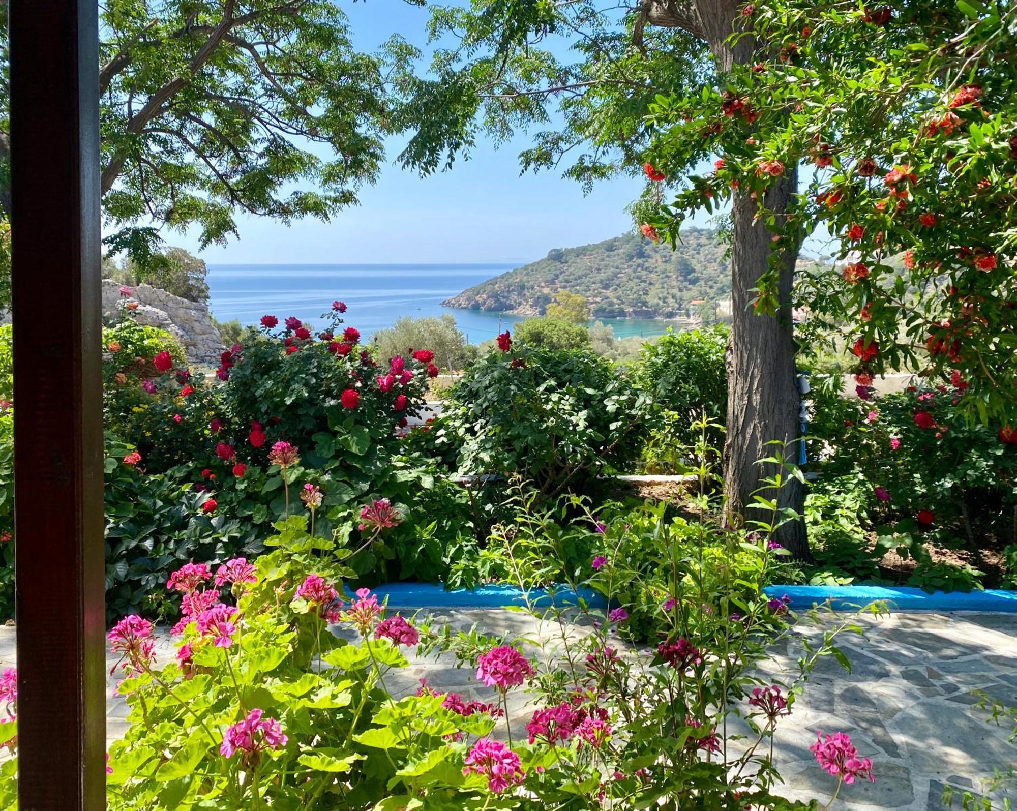 Studios Ioanna Limnionas Samos Marathókampos Exterior foto